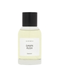 Agua de perfume para hombre 100 ml DAWN RUSH